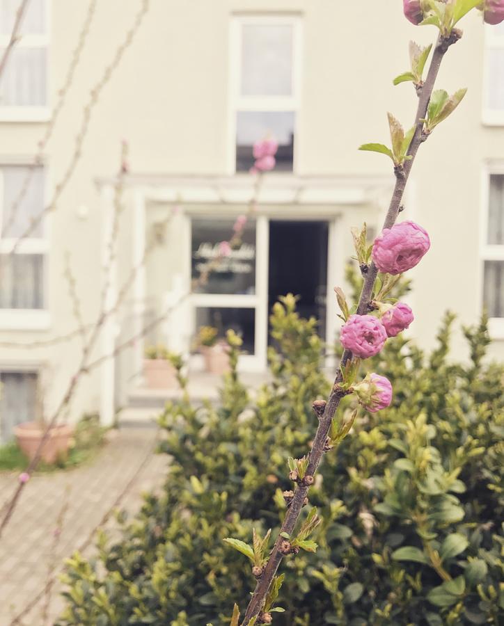 Hotel Gramlich Heddesheim ภายนอก รูปภาพ